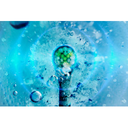 Teesa Soniczna Szczoteczka Do Zębów Teesa Sonic Junior Girl [[