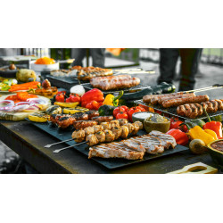 Teesa Teesa Bbq 5006 Master Grill Gazowy - 5 Palników- Miejsce Na Butlę [[