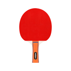 Rebel Zestaw Rakietek Do Tenisa Stołowego Z Siatką Rebel Active [[