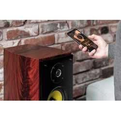 Krüger&Matz Kolumny Głośnikowe Aktywne Kruger&Matz  Destiny, Zestaw 2.0 [[