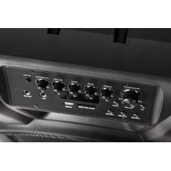 Krüger&Matz Aktywna Kolumna Głośnikowa (Z 2 Mikrofonami Bezprzewodowymi Uhf, Sd, Bluetooth, Fm, Usb) 60 Watt [[