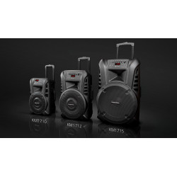 Krüger&Matz Aktywna Kolumna Głośnikowa (Z 2 Mikrofonami Bezprzewodowymi Uhf, Sd, Bluetooth, Fm, Usb) 40 Watt [[