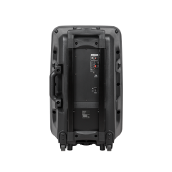 Azusa Kolumna Aktywna ( Z 2 Mikrofonami Bezprzewodowymi, Sd, Bluetooth, Usb) 12" 40W [[