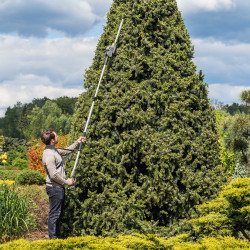 Rebel Teleskopowe Nożyce Akumulatorowe + Piła 2W1 Rebel [[