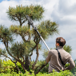 Rebel Teleskopowe Nożyce Akumulatorowe + Piła 2W1 Rebel [[