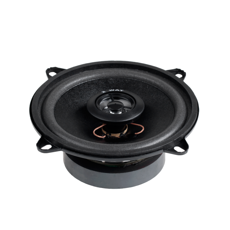 Dibeisi Głośnik Sam.5"/2Way/100W Ws-1312Tw [[
