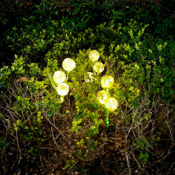 Rebel Ozdone Ogrodowe  Lampki  Solarne Rebel [[