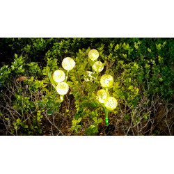 Rebel Ozdone Ogrodowe Lampki Solarne Rebel [[