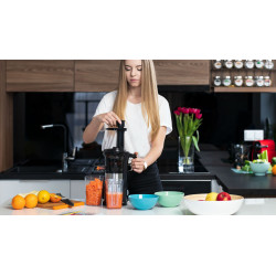 Teesa Wyciskarka Wolnoobrotowa Do Warzyw I Owoców [[