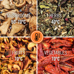 Teesa Suszarka Do Grzybów , Warzyw , Owoców , 400W , 5 Sit, Wyświetlacz, Termoobieg, Teesa [[
