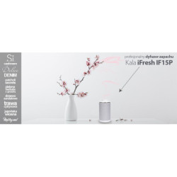 KALA Dyfuzor Olejków Esencja Zapachu iFresh Czarny