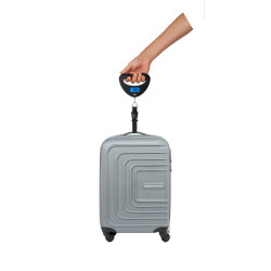 Teesa Waga Do Bagażu [[